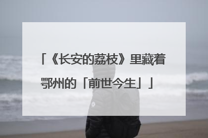 《长安的荔枝》里藏着鄂州的「前世今生」