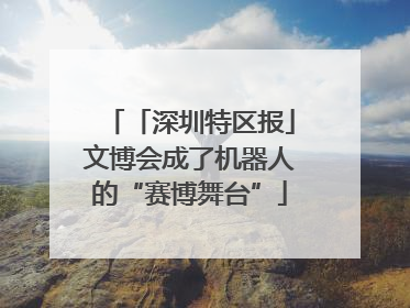 「深圳特区报」文博会成了机器人的“赛博舞台”