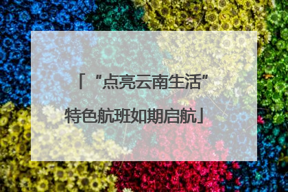 “点亮云南生活”特色航班如期启航