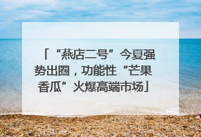 “燕店二号”今夏强势出圈，功能性“芒果香瓜”火爆高端市场