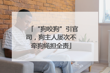 “狗咬狗”引官司，狗主人屡次不牵狗绳担全责