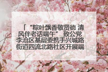 “粽叶飘香敬贤德 清风伴老话端午” 致公党李沧区基层委携手兴城路街道四流北路社区开展端午节主题活动