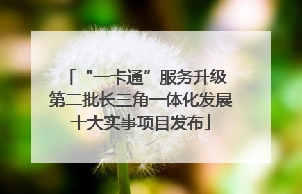 “一卡通”服务升级 第二批长三角一体化发展十大实事项目发布