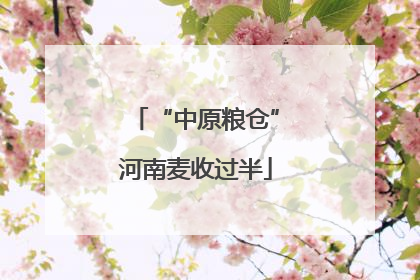 “中原粮仓”河南麦收过半