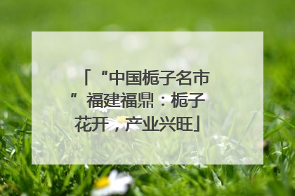 “中国栀子名市”福建福鼎：栀子花开，产业兴旺