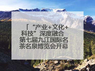 “产业+文化+科技”深度融合 第七届九江国际名茶名泉博览会开幕（组图）