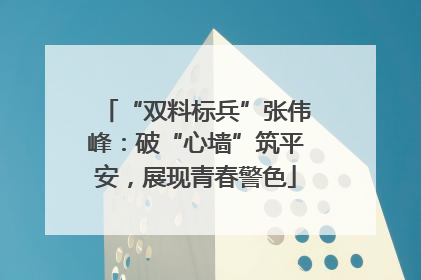 “双料标兵”张伟峰：破“心墙”筑平安，展现青春警色