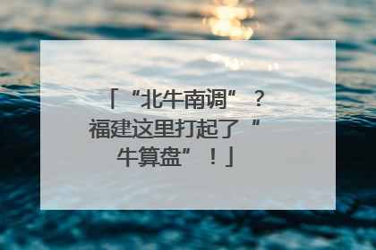 “北牛南调”？福建这里打起了“牛算盘”！