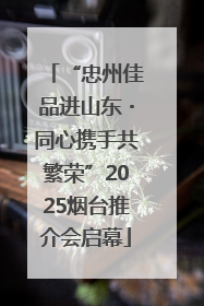 “忠州佳品进山东・同心携手共繁荣”2025烟台推介会启幕