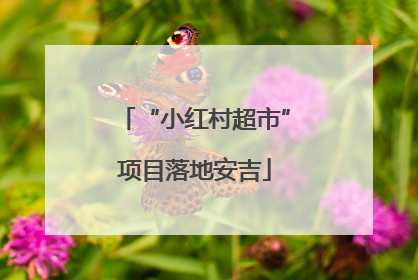 “小红村超市”项目落地安吉