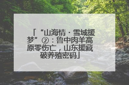 “山海情・雪域援梦”②：鲁中肉羊高原零伤亡，山东援藏破养殖密码