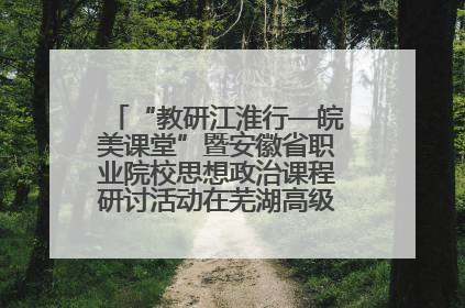 “教研江淮行—皖美课堂”暨安徽省职业院校思想政治课程研讨活动在芜湖高级职业技术学校举行