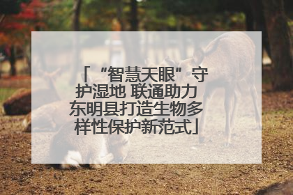 “智慧天眼”守护湿地 联通助力东明县打造生物多样性保护新范式