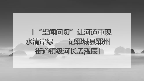 “望闻问切”让河道重现水清岸绿——记郓城县郓州街道镇级河长孟泓辰