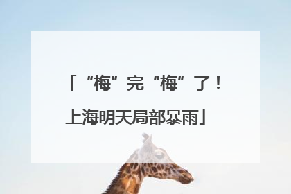 “梅”完“梅”了！上海明天局部暴雨