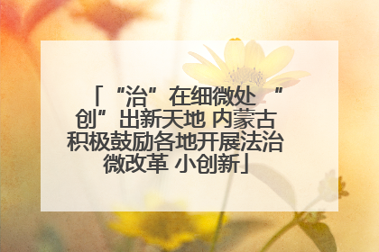 “治”在细微处 “创”出新天地 内蒙古积极鼓励各地开展法治微改革 小创新