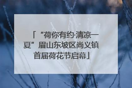 “荷你有约·清凉一夏”眉山东坡区尚义镇首届荷花节启幕