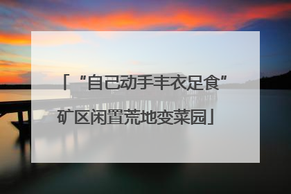 “自己动手丰衣足食”矿区闲置荒地变菜园