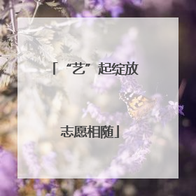 “艺”起绽放 志愿相随
