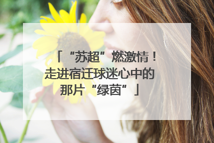 “苏超”燃激情！走进宿迁球迷心中的那片“绿茵”