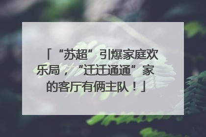 “苏超”引爆家庭欢乐局，“迁迁通通”家的客厅有俩主队！