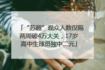 “苏超”观众人数仅隔两周破4万大关，17岁高中生球员独中二元