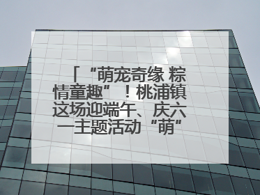 “萌宠奇缘 粽情童趣”！桃浦镇这场迎端午、庆六一主题活动“萌”翻全场～