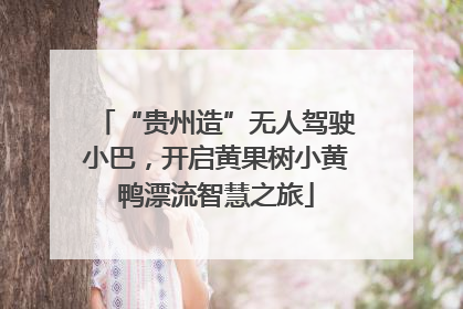 “贵州造”无人驾驶小巴，开启黄果树小黄鸭漂流智慧之旅