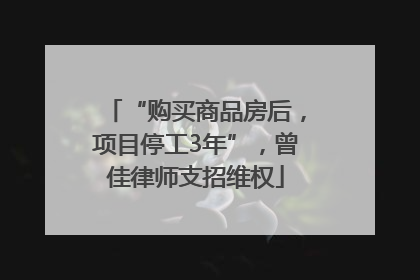 “购买商品房后，项目停工3年”，曾佳律师支招维权