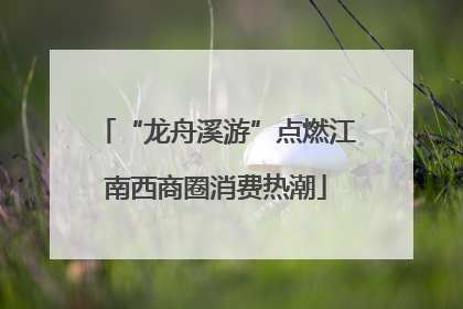 “龙舟溪游”点燃江南西商圈消费热潮