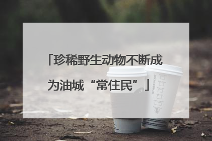 珍稀野生动物不断成为油城“常住民”