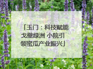 玉门：科技赋能戈壁绿洲 小院引领蜜瓜产业振兴