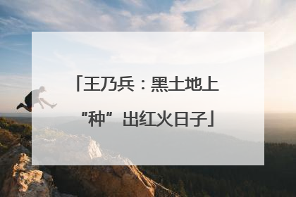 王乃兵：黑土地上“种”出红火日子