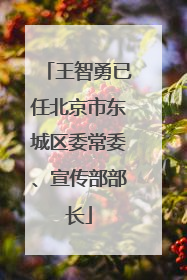 王智勇已任北京市东城区委常委、宣传部部长