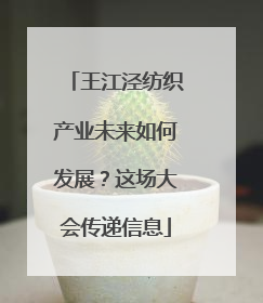 王江泾纺织产业未来如何发展？这场大会传递信息