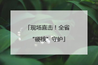 现场直击！全省“硬核”守护