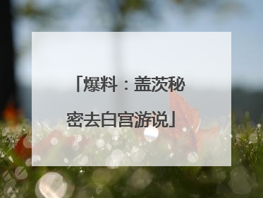 爆料：盖茨秘密去白宫游说