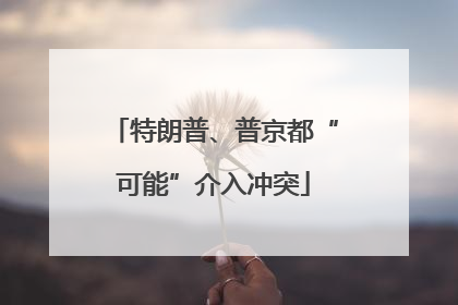 特朗普、普京都“可能”介入冲突
