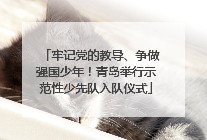 牢记党的教导、争做强国少年！青岛举行示范性少先队入队仪式