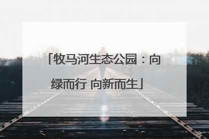 牧马河生态公园：向绿而行 向新而生