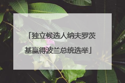 独立候选人纳夫罗茨基赢得波兰总统选举