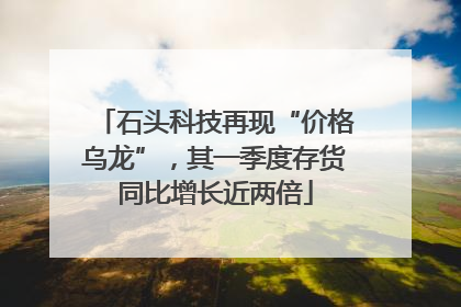石头科技再现“价格乌龙”，其一季度存货同比增长近两倍