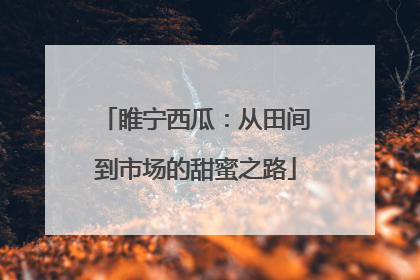 睢宁西瓜：从田间到市场的甜蜜之路