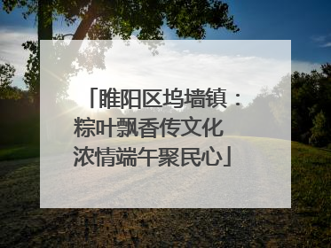 睢阳区坞墙镇：粽叶飘香传文化 浓情端午聚民心