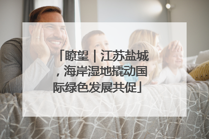 瞭望｜江苏盐城，海岸湿地撬动国际绿色发展共促