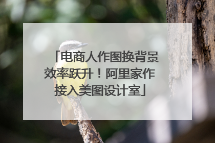 电商人作图换背景效率跃升！阿里家作接入美图设计室