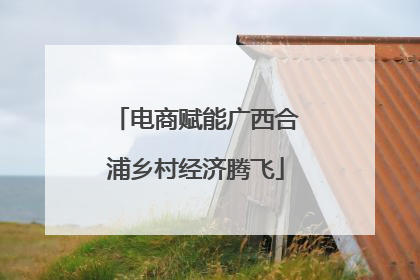 电商赋能广西合浦乡村经济腾飞
