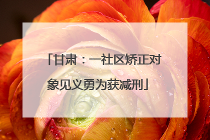 甘肃：一社区矫正对象见义勇为获减刑