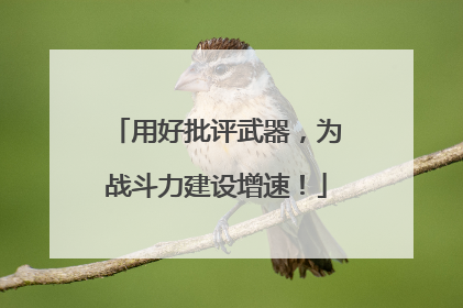 用好批评武器，为战斗力建设增速！