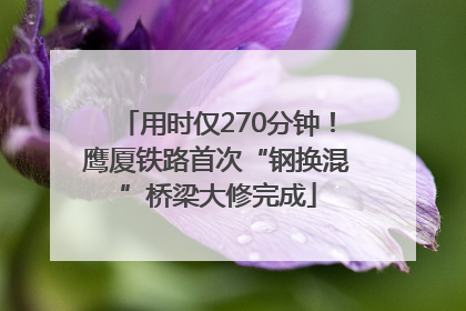 用时仅270分钟！鹰厦铁路首次“钢换混”桥梁大修完成
